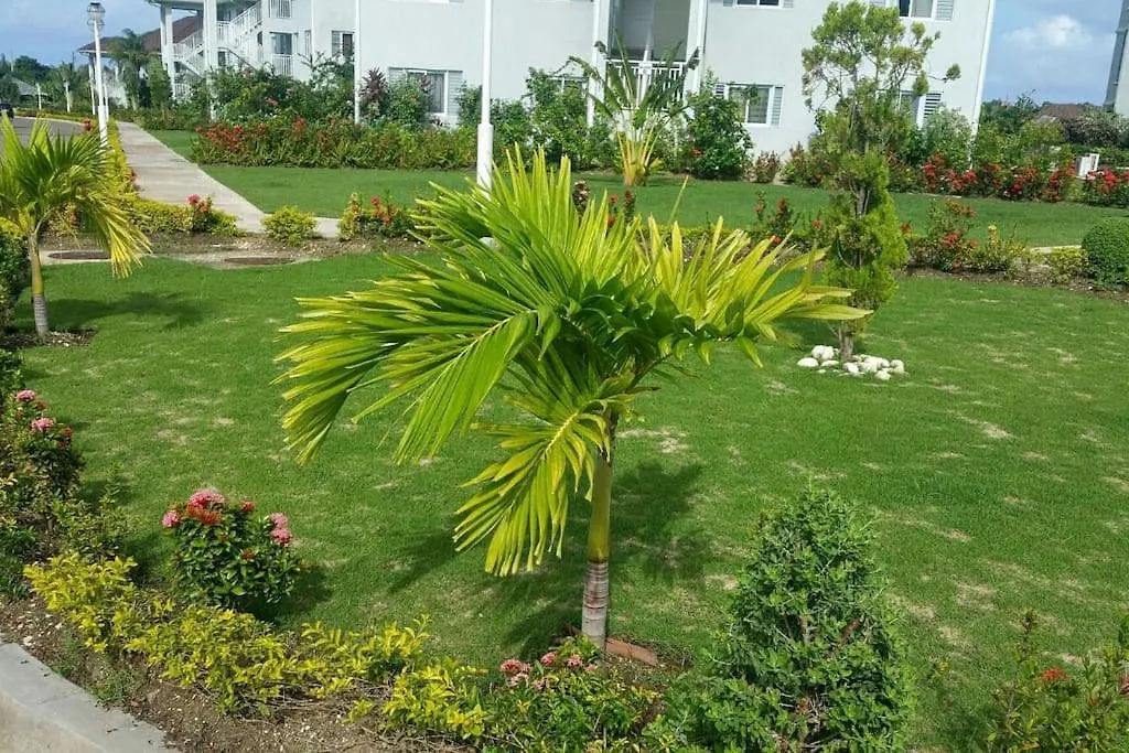 Luxury Villas Oceanic View - Richmond Estate